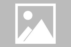 NG娱乐-Scout回归赛场，回归赛场首场状态亮眼，篮网观众沸腾！的简单介绍